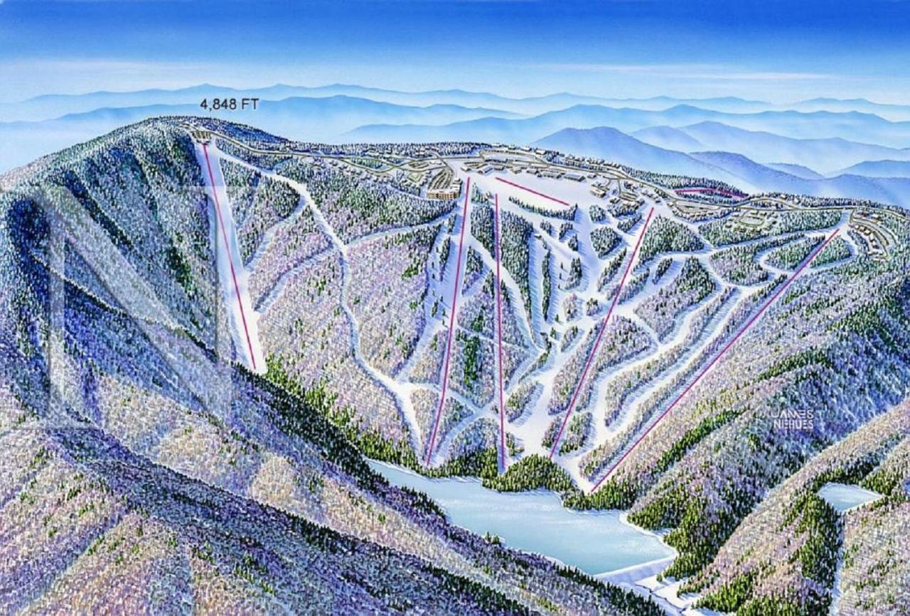 Stroll To Slopes, Village Area, Ski In-Out Mtlodge 151 Snowshoe Luaran gambar
